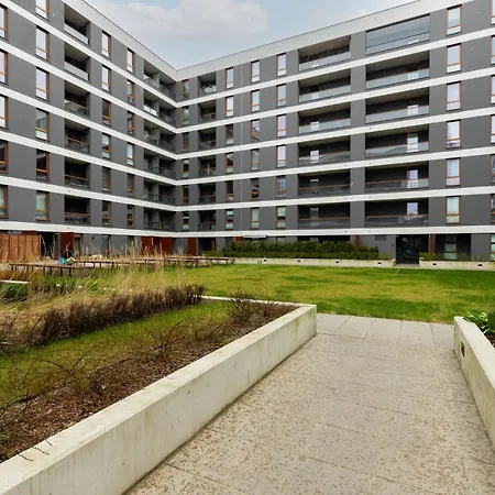 Active By Renters *