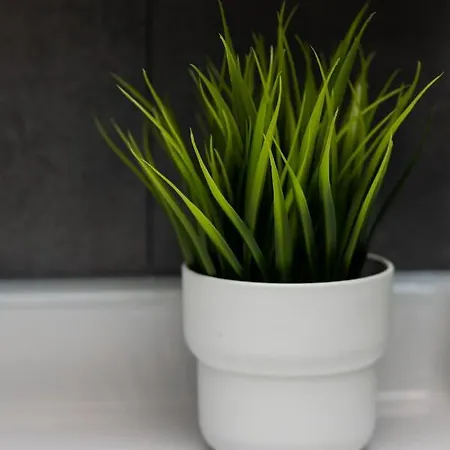 Active By Renters Apartamento