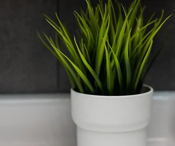 Active By Renters Apartamento